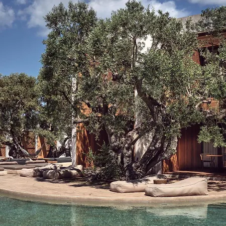 Olea Hotel, A Member Of Design (adults Only) 5* 蒂锡利维