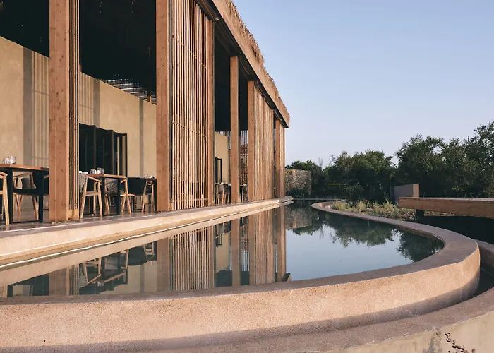 Hotel Olea Hotel, A Member Of Design (adults Only) Tsilivi (Zakynthos)